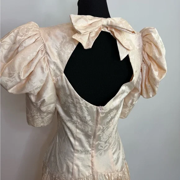 Romantic champagne vintage dress puffy sleeves lace cottagecore tulle - Picture 16 of 16